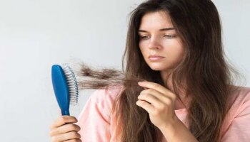 ಈ ಗಿಡಮೂಲಿಕೆ ಶಾಂಪುವಿನಿಂದ ಕೂದಲು ಉದುರುವುದು ನಿಲ್ಲುತ್ತದೆ..! ಮನೆಯಲ್ಲಿಯೇ ತಯಾರಿಸುವ ವಿಧಾನ ತಿಳಿಯಿರಿ..!