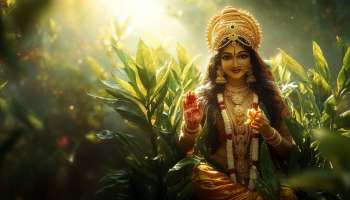 Vastu Tips For Tulsi: ನಿತ್ಯ ಸಂಜೆ ಈ ಒಂದು ಕೆಲಸ ಮಾಡಿದ್ರೆ ಹರಸಿ ಬರುತ್ತೆ ಸಂಪತ್ತು, ತುಂಬುತ್ತೆ ಖಜಾನೆ 