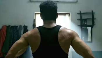ಈ ಸ್ಟಾರ್‌ ನಟ ತನ್ನ ಮನೆಯ ನಾಯಿಗಾಗಿ 45 ಕೋಟಿ ಖರ್ಚು ಮಾಡ್ತಾರಂತೆ.. ಇವರ ಒಟ್ಟು ಆಸ್ತಿ ಎಷ್ಟು ಗೊತ್ತಾ?