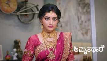 ಅಮೃತಧಾರೆ ಧಾರವಾಹಿಯಿಂದ ಹೊರಬಂದ್ರ 'ಮಲ್ಲಿ'..! 