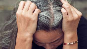 ಯಾವುದೇ ಹೇರ್‌ ಕಲರ್‌ ಸಾಹಸ ಬೇಡ.. ವಾರಕ್ಕೆ ಎರಡು ಬಾರಿ ಈ ನೀರಿನಿಂದ ಸ್ನಾನ ಮಾಡಿದರೆ ತಾನಾಗೇ ಕಪ್ಪಾಗುತ್ತೆ ಬಿಳಿ ಕೂದಲು! 