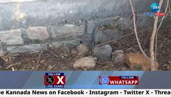 Skeleton found on Bellandur Kudlu Road