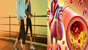 ವಾಕ್‌ ಮಾಡೋದ್ರಿಂದ ಕೆಟ್ಟ ಕೊಲೆಸ್ಟ್ರಾಲ್ ನಿಯಂತ್ರಿಸಬಹುದೇ? ಅಧಿಕ ಕೊಲೆಸ್ಟ್ರಾಲ್ ಇದ್ದಾಗ ಎಷ್ಟು ಗಂಟೆ ನಡೆಯಬೇಕು ? ​