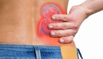 ದೇಹದಲ್ಲಿ ಈ ಲಕ್ಷಣಗಳು ಕಾಣಿಸಿಕೊಂಡರೇ ಕಿಡ್ನಿ ಅಪಾಯದಲ್ಲಿದೆ ಎಂದರ್ಥ! ಅಪ್ಪಿತಪ್ಪಿಯೂ ನಿರ್ಲಕ್ಷಿಸಬೇಡಿ.. 