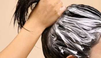 ಈ ಹೂವನ್ನು ಅರೆದು ಮೊಟ್ಟೆ ಜೊತೆ ಬೆರೆಸಿ ತಲೆಗೆ ಹಚ್ಚಿ... 2 ನಿಮಿಷದಲ್ಲಿ ಬಿಳಿ ಕೂದಲು ಗಾಢ ಕಪ್ಪಾಗಿ ರೇಷ್ಮೆಯಂತೆ ಹೊಳೆಯುವುದು! 