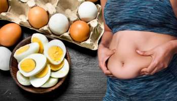 Belly Fat: ತಿಂಗಳೊಳಗೆ 10 KG ತೂಕ ಇಳಿಸಿ ಡೊಳ್ಳು ಹೊಟ್ಟೆ ಕರಗಿಸಲು ಮೊಟ್ಟೆ ಸಾಕು!