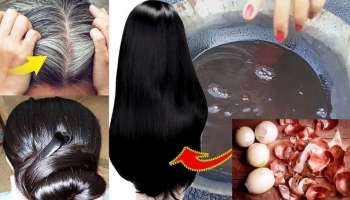 ಈರುಳ್ಳಿ ಸಿಪ್ಪೆಗೆ ಈ ವಸ್ತು ಬೆರೆಸಿ ಹಚ್ಚಿದ್ರೆ ಎರಡೇ ನಿಮಿಷದಲ್ಲಿ ಬುಡ ಸಮೇತ ಕಡು ಕಪ್ಪಾಗುತ್ತೆ ಬಿಳಿ ಕೂದಲು!