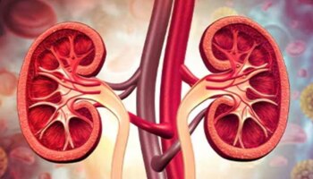  World Kidney Day 2025: ಮಕ್ಕಳಲ್ಲಿ ಹೆಚ್ಚುತ್ತಿರುವ ಕಿಡ್ನಿ ಸಮಸ್ಯೆಗೆ ಕಾರಣವೇನು ಗೊತ್ತಾ.?