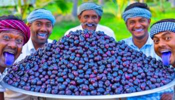 ಮಧುಮೇಹಿಗಳಿಗೆ ಪುನರ್ಜನ್ಮ ನೀಡುವ ನೇರಳೆ ಹಣ್ಣು ಈ ಆರೋಗ್ಯ ಸಮಸ್ಯೆಗಳಿರುವವರಿಗೆ ವಿಷ..! ತಿನ್ನಲೇಬಾರದು..