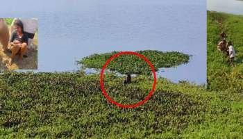 ಕೆರೆ ಮಧ್ಯೆ ಸಿಲುಕಿದ್ದ ಮಹಿಳೆ ಕೊನೆಗೂ ಬಚಾವ್ 