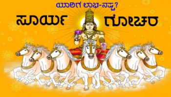 ಮೀನ ರಾಶಿಯಲ್ಲಿ ಸೂರ್ಯನ ಸಂಚಾರ: ರಾಜಯೋಗದಿಂದ ಎರಡು ರಾಶಿಗಳಿಗೆ ಬಂಪರ್ ಪ್ರಯೋಜನಗಳು
