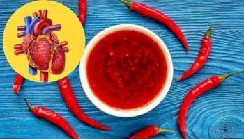 ಹೃದಯಾಘಾತ ತಡೆಯುತ್ತೆ ಈ ಮಸಾಲೆಯುಕ್ತ ಚಟ್ನಿ..! ಇದನ್ನ ತಿಂದ್ರೆ ಎಂದಿಗೂ ನಿಮಗೆ ಹೃದಯ ಸಮಸ್ಯೆ ಬರುವುದೇ ಇಲ್ಲ..