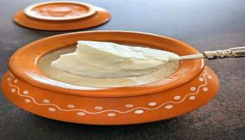 Curd benefits: ಮೊಸರು ತಿನ್ನುವುದರಿಂದ ಆರೋಗ್ಯಕ್ಕಾಗುವ ಪ್ರಯೋಜನೆಗಳೇನು? ಇದನ್ನು ಯಾರು ತಪ್ಪಿಸಬೇಕು