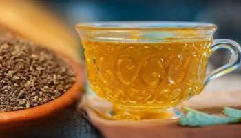 Ajwain Water: ಖಾಲಿ ಹೊಟ್ಟೆಯಲ್ಲಿ ʻಈʼ ಕಾಳು ನೆನೆಸಿದ ನೀರನ್ನು ಕುಡಿಯುವುದರಿಂದ ಸಿಗುವ ಲಾಭಗಳೇನು ಗೊತ್ತಾ? ತೂಕ ಇಳಿಕೆಯಿಂದ ಮಧುಮೇಹ ನಿಯಂತ್ರಣದವರೆಗೂ ಅದ್ಭುತ ಮನೆಮದ್ದು ಇದು
