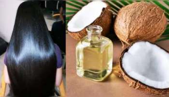 ತೆಂಗಿನ ಎಣ್ಣೆಗೆ ಈ ಹಣ್ಣಿನ ರಸ ಬೆರೆಸಿ ಹಚ್ಚಿ.. 2 ನಿಮಿಷದಲ್ಲೇ ಬಿಳಿ ಕೂದಲು ಕಪ್ಪಾಗುವುದು!