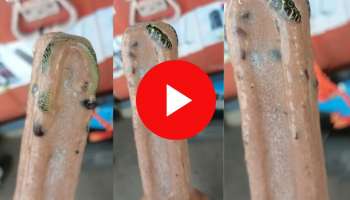 Viral Video: ಅಯ್ಯೋ.. ಬೇಸಿಗೆಯಲ್ಲಿ ದಾಹ ತಣಿಸಿಕೊಳ್ಳಬೇಕು ಎಂದುಕೊಂಡಿದ್ದೆ ತಪ್ಪಾಯ್ತಾ? ಐಸ್‌ ಕ್ರೀಂ ಸವಿಯಲು ಹೋದವನಿಗೆ ಅದರಲ್ಲಿ ಸಿಕ್ಕಿದ್ದೇನು ಗೊತ್ತಾ