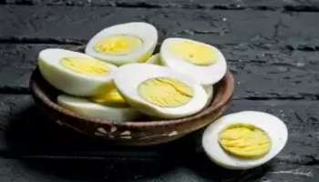 ಈ ಹೊತ್ತಿನಲ್ಲಿ ವಾರಕ್ಕೆ ಕೇವಲ ನಾಲ್ಕು ಮೊಟ್ಟೆ ಸೇವಿಸಿ !ಯಾವ ಪಥ್ಯ, ಔಷಧಿ ಇಲ್ಲದೆ ಜೀವನ ಪರ್ಯಂತ ನಾರ್ಮಲ್ ಆಗಿರುವುದು ಬ್ಲಡ್ ಶುಗರ್!ಟ್ರೈ ಮಾಡಿ ನೋಡಿ ಒಮ್ಮೆ 