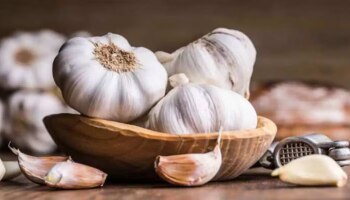  Benefits of Garlic: ಪ್ರತಿದಿನ ಒಂದೇ ಒಂದು ಹಸಿ ಬೆಳ್ಳುಳ್ಳಿ- ಈ 5 ದೊಡ್ಡ ಸಮಸ್ಯೆಗಳಿಗೆ ಚಟಕ್ಕನೆ ಪರಿಹಾರ!