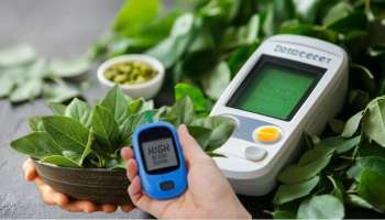 ಪಥ್ಯ ಬೇಕಿಲ್ಲ.. ಮಧುಮೇಹಿಗಳು ನಿತ್ಯ ಖಾಲಿ ಹೊಟ್ಟೆಯಲ್ಲಿ ಈ 3 ಎಲೆಗಳನ್ನು ಅಗಿದು ತಿಂದರೆ ಎಂದೂ ಶುಗರ್ ಲೆವೆಲ್ ಏರಿಕೆಯಾಗಲ್ಲ