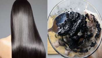 ಹೇರ್‌ ಡೈ ಅಗತ್ಯವೇ ಇಲ್ಲ... ಈ ಎಲೆಯ ರಸ ಹಿಂಡಿ ಹಚ್ಚಿದ್ರೆ ಮೂರೇ ನಿಮಿಷದಲ್ಲಿ ಕಡುಕಪ್ಪಾಗುತ್ತೆ ಬಿಳಿಕೂದಲು! ವಯಸ್ಸು 60 ದಾಟಿದ್ರೂ ಮತ್ಯಾವತ್ತೂ ಬೆಳ್ಳಗಾಗಲ್ಲ