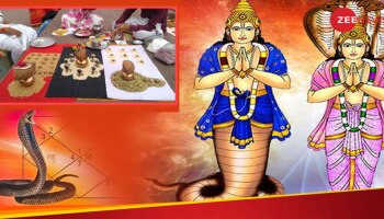  ನಿಮ್ಮ ಜಾತಕದಲ್ಲಿ ಕಾಳ ಸರ್ಪ ದೋಷವಿದೆಯೇ? ಶನಿ ಅಮಾವಾಸ್ಯೆಯಂದು ಈ ಕೆಲಸ ಮಾಡಿ, ದೋಷಗಳಿಂದ ಮುಕ್ತಿ ಪಡೆಯಿರಿ