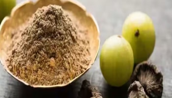  ಬೆಳಿಗ್ಗೆ ಎದ್ದ ತಕ್ಷಣ 1 ಟೀ ಚಮಚ ಆಮ್ಲಾ ಚೂರ್ಣ ಸೇವಿಸಿದರೆ, ಔಷಧಿ ಇಲ್ಲದೆ ಈ 4 ರೋಗಗಳು ನಿವಾರಣೆಯಾಗುತ್ತವೆ..!