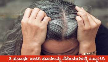 Natural Hair Dye: ಮನೆಯಲ್ಲೆ ಸಿಗುವ ಈ 3 ಪದಾರ್ಥ ಬೆರೆಸಿ ಕೂದಲಿಗೆ ಹಚ್ಚಿದರೆ, ತಕ್ಷಣ ಕಪ್ಪಾಗುತ್ತೆ ಬಿಳಿ ಕೂದಲು