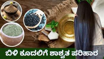 Natural hair Dye: ಬುಡದಿಂದಲೇ ಕೂದಲನ್ನು ಕಪ್ಪಾಗಿಸಿ ಮತ್ತೆ ಬಿಳಿ ಕೂದಲು ಬರದಂತೆ ತಡೆಯಲು, ಕೊಬ್ಬರಿ ಎಣ್ಣೆಗೆ ಈ ಮೂರು ಪದಾರ್ಥ ಬೆರೆಸಿ ಹಚ್ಚಿ