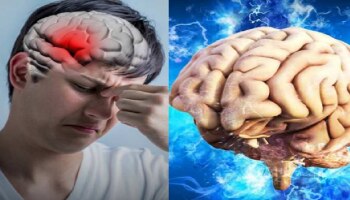 ದೇಹದಲ್ಲಿ ʼಈʼ ವಿಟಮಿನ್ ಕೊರತೆಯಾದ್ರೆ ನಿಮ್ಮ ಮೆದುಳಿನ ಮೇಲೆ ಕೆಟ್ಟ ಪರಿಣಾಮ ಬೀರುತ್ತೆ!!