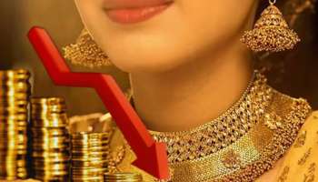ಚಿನ್ನದ ಬೆಲೆಯಲ್ಲಿ ಶೇ.38ರಷ್ಟು ಇಳಿಕೆ....! ಚಿನ್ನದ ಬೆಲೆ ಕುಸಿತದ ಬಗ್ಗೆ ವಿಶ್ಲೇಷಕರ ಬಿಗ್ ಅಪ್ಡೇಟ್