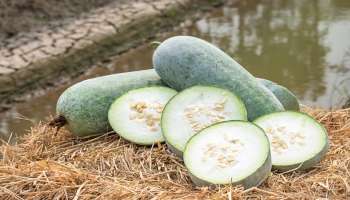 ಒಂದು ಲೋಟ ಈ ಜ್ಯೂಸ್ ಕುಡಿದರೆ ಕಿಡ್ನಿ ಸ್ಟೋನ್ ಒಡೆಯುವುದು !ಬ್ಲಡ್ ಶುಗರ್ ಕೂಡಾ  ಜೀವನ ಪರ್ಯಂತ ನಾರ್ಮಲ್ ಆಗಿರುವುದು!