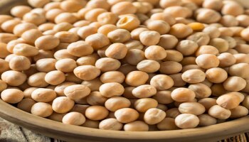 Yellow peas Benefits: ಪೌಷ್ಟಿಕತೆಯ ಆಗರ ಈ ಹಳದಿ ಬಟಾಣಿ