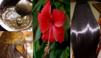 ದಾಸವಾಳದ ಹೇರ್ ಪ್ಯಾಕ್ ಹಾಕಿ ಇದರಿಂದ ತಲೆ ಸ್ನಾನ ಮಾಡಿದ್ರೆ ಬಿಳಿ ಕೂದಲು ಕಪ್ಪಾಗಿ ಗಟ್ಟಿಮುಟ್ಟಾದ ಉದ್ದ ಕೂದಲು ನಿಮ್ಮದಾಗುತ್ತೆ...! 