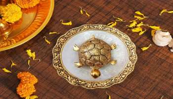 ಮನೆಯಲ್ಲಿ ಆಮೆಯ ಪ್ರತಿಮೆಯನ್ನ ಈ ದಿಕ್ಕಿಗಿಟ್ಟರೇ ಬಡತನ ಕಳೆದು ಸಿರಿವಂತಿಕೆ ನೆಲೆಸುತ್ತೆ! ಕೈಹಾಕಿದ ಕೆಲಸಕ್ಕೆಲ್ಲ ಯಶಸ್ಸು ಖಚಿತ.. 