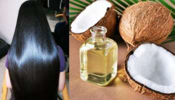 ಹೇರ್ ಡೈ ಬೇಡ... ತೆಂಗಿನೆಣ್ಣೆ ಹಚ್ಚಿ ಇವುಗಳಿಂದ ಹೇರ್ ವಾಶ್ ಮಾಡಿದ್ರೆ ಬಿಳಿ ಕೂದಲು ಗಾಢ ಕಪ್ಪಾಗುತ್ತೆ..! 