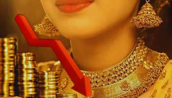 ಅಬ್ಬಬ್ಬಾ...! 20ಸಾವಿರ ಇಳಿಕೆಯಾಗುತ್ತ ಬಂಗಾರದ ಬೆಲೆ...!  