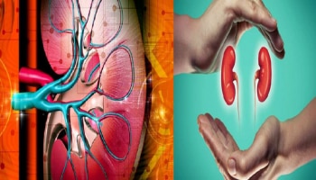 Kidney Disease: ಇವೇ ನೋಡಿ ಕಿಡ್ನಿ ವೈಫಲ್ಯದ ಲಕ್ಷಣಗಳು, ಕಾರಣ ಮತ್ತು ಚಿಕಿತ್ಸೆಗಳ ಮಾಹಿತಿ ಇಲ್ಲಿದೆ!