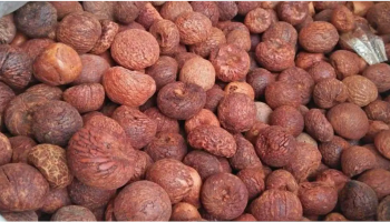 Arecanut today price: ಶಿವಮೊಗ್ಗದಲ್ಲಿ ಅಡಿಕೆ 56 ಸಾವಿರ ರೂ. ಗಡಿ ದಾಟಿದ ಅಡಿಕೆ ಧಾರಣೆ
