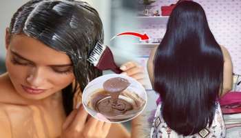 ತೆಂಗಿನ ಎಣ್ಣೆಯೊಂದಿಗೆ ಈ ಎರಡು ಪದಾರ್ಥ ಬೆರೆಸಿ ಕೂದಲಿಗೆ ಹಚ್ಚಿದರೆ.. ಬುಡದಿಂದ ಶಮನವಾಗುತ್ತೆ ಬಿಳಿ ಕೂದಲು! ಬೂದು ಕೂದಲು ಬರದಂತೆ ತಡೆಯುವ ಅದ್ಭುತ ಪರಿಹಾರ ಇದು