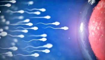 Sperm race : ವಿಶ್ವದಲ್ಲೇ ಮೊದಲ ಬಾರಿಗೆ, ಕ್ರಿಕೆಟ್‌ನಂತೆ ಮೈದಾನದಲ್ಲಿಯೇ &quot;ವೀರ್ಯ ಓಟದ ಸ್ಪರ್ಧೆ&quot; ಆಯೋಜನೆ, ನೇರಪ್ರಸಾರ..! 8 ಕೋಟಿ ರೂ.