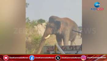 Viral Video of elephant on the road Passengers worried after sighting Onti Salaga in front of BMTC BUS