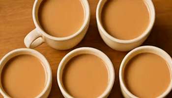 ಚಹಾ ಕೆಡಲು ಎಷ್ಟು ಸಮಯ ಬೇಕು, ಆ ಟೀ ಕುಡಿದ್ರೆ ಆರೋಗ್ಯದ ಮೇಲೆ ಬೀರುವ ಪರಿಣಾಮಗಳೇನು ಗೊತ್ತೆ..?