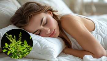 ಮಲಗುವ ಮುನ್ನ ಈ ವಸ್ತುವನ್ನು ದಿಂಬಿನ ಕೆಳಗೆ ಇರಿಸಿ.. ಕುಬೇರನ ಕೃಪೆಯಿಂದ ಸಂಪತ್ತು ಪ್ರಾಪ್ತಿಯಾಗುವುದು, ಸಿರಿವಂತಿಕೆ ಒಲಿದು ಬರುವುದು! 