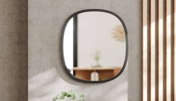 Vastu tips: ಮನೆಯಲ್ಲಿ ವಾಸ್ತು ದೋಷವಿದ್ದರೆ, ಅದಕ್ಕೆ ನಿಮ್ಮ ಮನೆಯಲ್ಲಿ ʻಈʼ ದಿಕ್ಕಿನಲ್ಲಿಟ್ಟಿರುವ ಕನ್ನಡಿಯೇ ಕಾರಣ! ಬಡತನ,ಜಗಳ, ಮನಸ್ಥಾಪ ಎದುರಾಗುವುದೇ ಇದರಿಂದ 