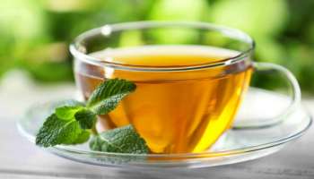 ಈ ಎಲೆಯ ಒಂದು ಕಪ್‌ ಟೀ ಸಾಕು.. ನಿಮ್ಮ ಎಲ್ಲಾ ಭಯಾನಕ ರೋಗಗಳು ಮಾಯವಾಗುತ್ತವೆ..!