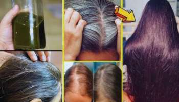 ಈ ಎಣ್ಣೆಯಿಂದ ಮಸಾಜ್ ಮಾಡಿದ್ರೆ ಸಾಕು ಬಿಳಿ ಕೂದಲು ಕಪ್ಪಾಗೋದು ಪಕ್ಕಾ