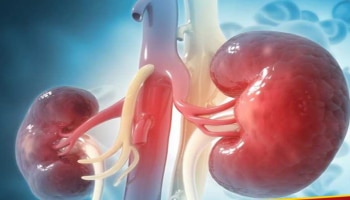 ಕಿಡ್ನಿ ವೈಫಲ್ಯದ ಈ 5 ಲಕ್ಷಣಗಳು ಮುಖದಲ್ಲಿ ಗೋಚರಿಸುತ್ತವೆ..! ಅಪ್ಪಿತಪ್ಪಿಯೂ ನಿರ್ಲಕ್ಷಿಸಬೇಡಿ