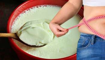 ಮೊಸರಿಗೆ ಈ ಬೀಜ ಬೆರೆಸಿ ಖಾಲಿ ಹೊಟ್ಟೆಯಲ್ಲಿ ತಿನ್ನಿ.. ಜೋತು ಬಿದ್ದ ಡೊಳ್ಳು ಹೊಟ್ಟೆ 15 ದಿನದಲ್ಲಿ ಐಸ್‌ನಂತೆ ಕರಗುವುದು! ಜಿಮ್‌.. ಡಯೆಟ್‌ ಕೂಡ ಬೇಕಿಲ್ಲ