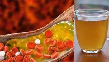 ನೀರಿಗೆ ಒಂದು ಚಿಟಿಕೆ ಈ ಪುಡಿ ಹಾಕಿ ಕುಡಿದರೆ ಸಾಕು ಕೊಲೆಸ್ಟ್ರಾಲ್‌ ಸಂಪೂರ್ಣ ನಿಯಂತ್ರಣಕ್ಕೆ ಬರುತ್ತೆ! 