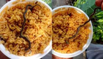 Snake viral news: ದೇವರ ದರ್ಶನ ಪಡೆದು ಪ್ರಸಾದ ತಿನ್ನಲು ಹೋಗಿದ್ದವರಿಗೆ ಕಾದಿತ್ತು ಶಾಕ್‌! ಆಸೆಯಿಂದ ಅನ್ನ ಬಾಯಿಗಿಟ್ಟುಕೊಂಡವರಿಗೆ ಅದರಲ್ಲಿ ಸಿಕ್ಕಿದ್ದು...